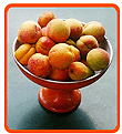 Aprikosenpräsentation