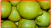 Zitronenhaufen
