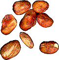 Jackfruchtkerne